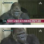 [댓글부탁해] 씨붤 <b>코에</b> 뭐 들어간거같음