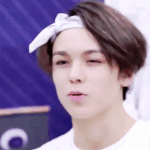 [세븐틴] 극ㅅㄷ)심심한데 입덕계기