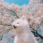 너희들은 무조건 이 <b>초성</b>에 속을꺼야