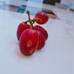 [EXO] 이거 먹어도 되는거?