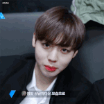 [프로듀스] 소속사는 뭣같은데 애들이너무이뻐ㅠ