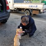 [강아지] 마린이 잘 보내고 왔습니다