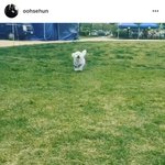[세훈] 170504 훈스타그램2