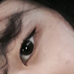 나 이거 몽고<b>주름</b>?있는거야? 귀짤 아니야 귀짤이면 내 고기 줄께