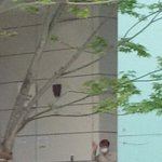 [EXO] 오늘 <b>안방</b>1열에서 중계들은년들 애들생파 꼭가자ㅠㅠ