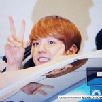 [EXO] 백현이는 <b>조련</b>이 아니라 팬들이 진짜