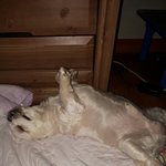 [EXO] 우리개자는꼬라지봐 수중<b>발레</b>하냐