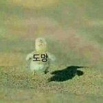 방금 <b>어바웃</b> 타임 봤는데