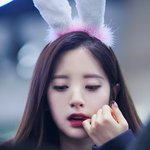 얘 정도면 <b>과탑</b> 가능?