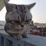 <b>천사</b>탄생 축하해주세요~^^