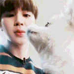 [방탄소년단] 안녕하세요 타팬잉데여