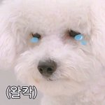 옷언제오냐 ㅅㅂㅅㅂㅅㅂㅅㅂㅅㅂㅅㅂ