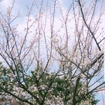 [프로듀스] 너희들 마음이 <b>평온</b>해지고 싶지?