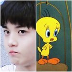 [프로듀스] 배진영 닮은꼴 배틀!