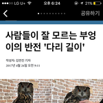 [댓글부탁해] 얘들아 이 닉보면 무슨 생각드냐