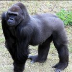 [EXO] 우리 <b>조상</b>님 데라고갈까