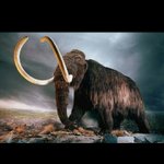 [EXO] 야 우리<b>집</b> 매머드키움 ㅋㅋㅋ <b>이름</b>추천좀