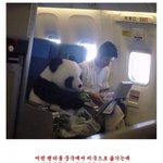 <b>서든</b>닉네임 추천좀