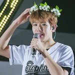 [EXO] 사에코<b>아기</b>가 <b>배</b>켜니 사진 풀은 거 봄?