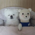너네 페북 이거 추반좀