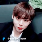 [프로듀스] 위너 김진우랑 프듀 <b>박지훈이</b>랑 닮은것 같지 않아??