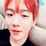 [EXO] ㅅㅂ 백현이 날에 시골에 썩혀있는데 할거 추천좀
