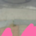 [EXO] 아 ㅅㅂ <b>새똥</b>맞음 ㅆㅣ발!!!!!!!