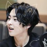 [EXO] 고양이 입앙 vs 너한테 들이대는 복학생