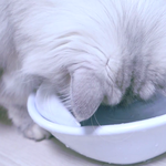[댓글부탁해] <b>쉐딩</b>좀 도와줘!ㅠ