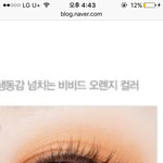<b>에뛰드</b> 오렌지 섀도우 추천좀해주라ㅠㅠㅜ!