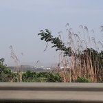 오늘<b>미세</b>먼지 오지네