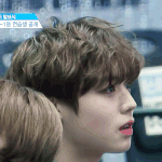 [프듀2] 어제 박지훈좀 봐봐
