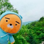 [드루와] 나는 <b>악플</b>을 단다는 것 자체가 이해가 안 됨