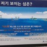 [세븐틴] ㅅㄷ 완도갔다왔는데