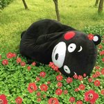 [방탄소년단] 유명 캐릭터 K씨 .. J<b>군</b>과 밀회