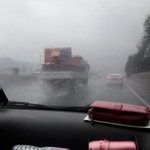 [고양이] 후지마비고양이 아강이 이야기 -6