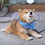 여자 164에 73kg 어케 생각해요?
