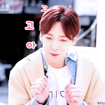 [위너] 걷기<b>대회</b> 가는 인서 많아?