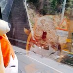 [인피니트] 딸기<b>나라</b> 갔다왔당~