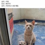 [댓글부탁해] <b>협찬</b>받은거 팔려면 원가보다 얼마 낮춰야할까