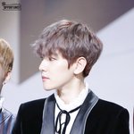 [EXO] 미남테라피 하고 <b>가셈</b>