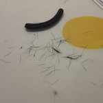 +)약혐) 나지금 엄청 충격받음;;<b>뷰러</b>가 내속눈썹 다 뽑앗나봐...