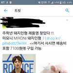 [프로듀스] 주<b>학년</b> 돼지 찾음
