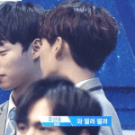 [프로듀스] 하민호이거 설레지않냐