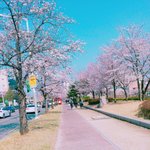 [댓글부탁해] 하 진짜 <b>위로</b>받고싶다