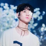 [프듀2] 배진영 프리뷰 모음 (ㅅㅍ주의)