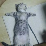 [조언부탁해] +우리반 반티 ㄹㅇ 개짧음 ㅌㅋㅌㅋㅋㅋㅋ