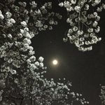 [댓글부탁해] 달달한 <b>향</b> 나는 <b>향수</b> 추천좀 ㅠㅠ