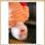 생일선물 받은 애들아 기브앤<b>테이크</b>모르니