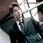 [EXO] 백현이 프랑스<b>모델</b><b>핏</b>이랬잖아